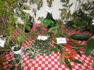 sezione piante e frutti - foto di Nicola Daraio
per ingrandire la foto cliccare sulla miniatura (704 Kb)