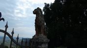 
per ingrandire la foto cliccare sulla miniatura (595 Kb)